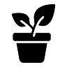 Jaunstādi
