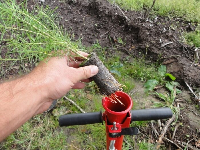 Stādāmais stobrs Pottiputki 55/53mm - Image 5