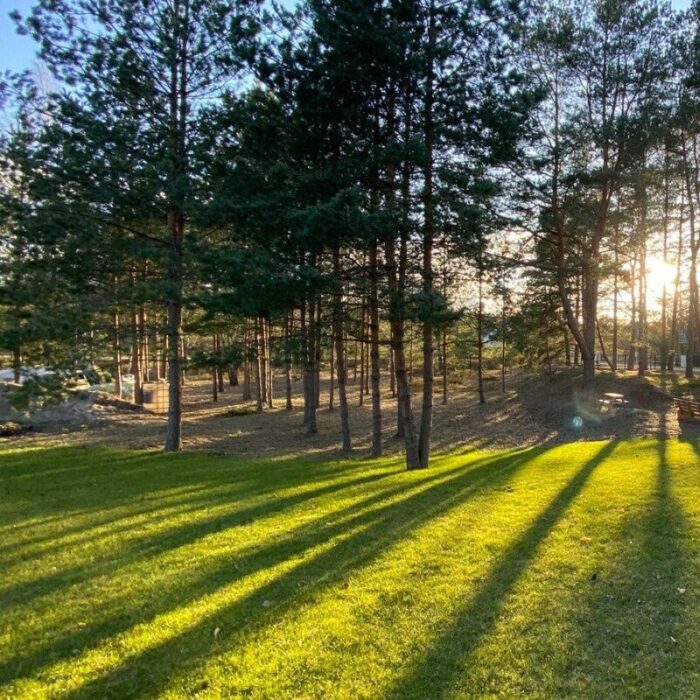 7794-maisijums-sausais-10-kg