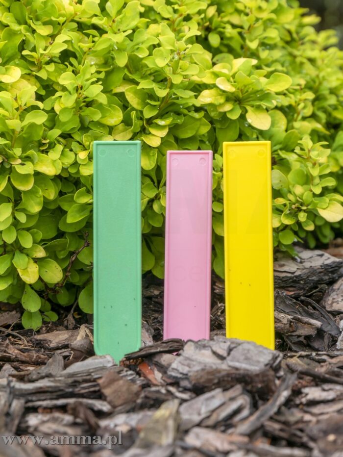 AMMA-Nr02-90x17x50mm-P1330377-1 ETIĶETE Nr.2, 9x1.7 - Image 3