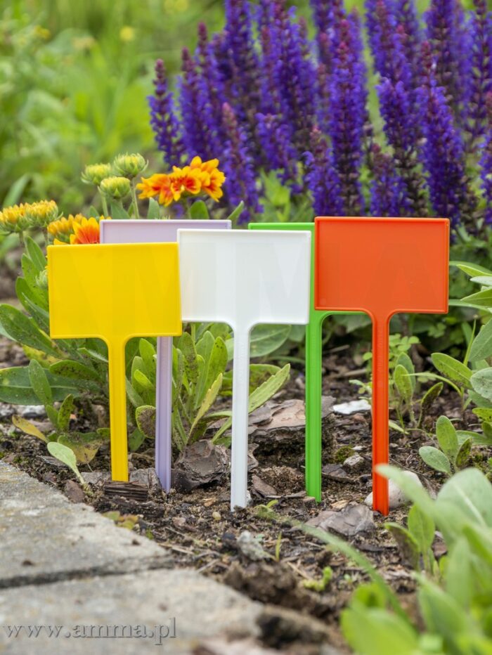 ETIĶETE Nr.4, 6.5x10.5 cm - Image 3