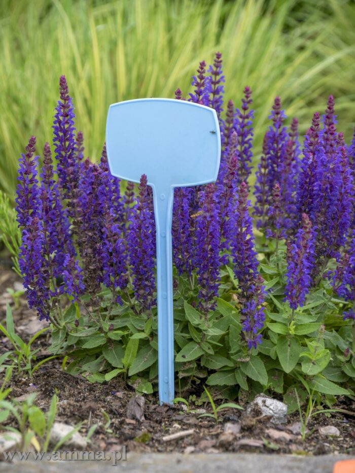 ETIĶETE Nr.11, 9.5x6 - Image 3