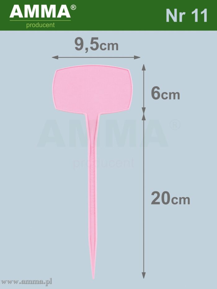 AMMA_Nr11W
