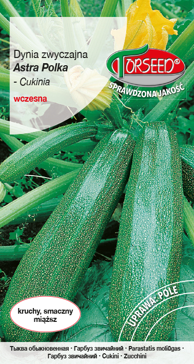 TORS 14006539PA.indd