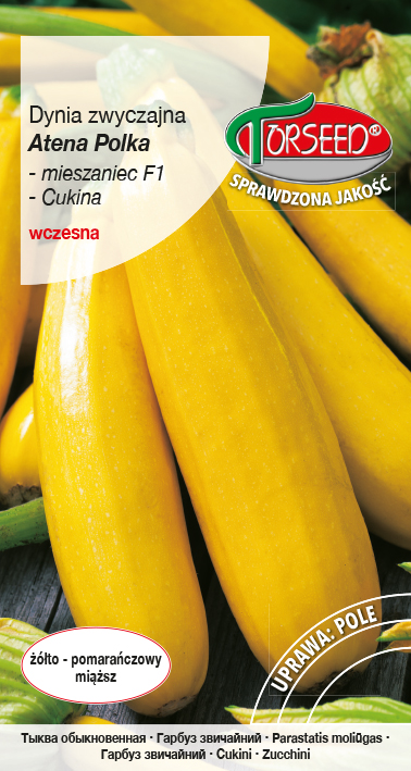 TORS 14239723PA.indd