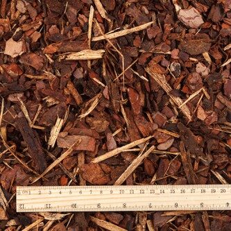 Mulca_vid-e1760534826398