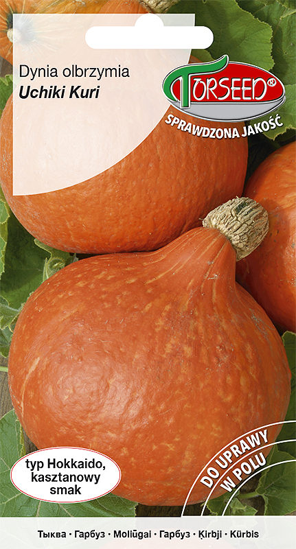 dynia-uchiki-kuri-TOR505-09