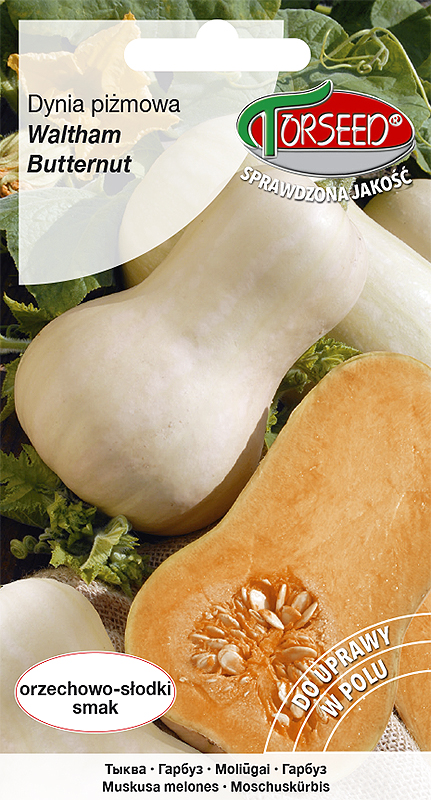 dynia-waltham-butternut-TOR-444-09