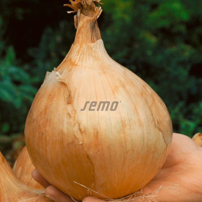 0535100.jpg
