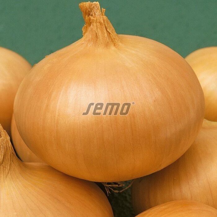 057150000.jpg