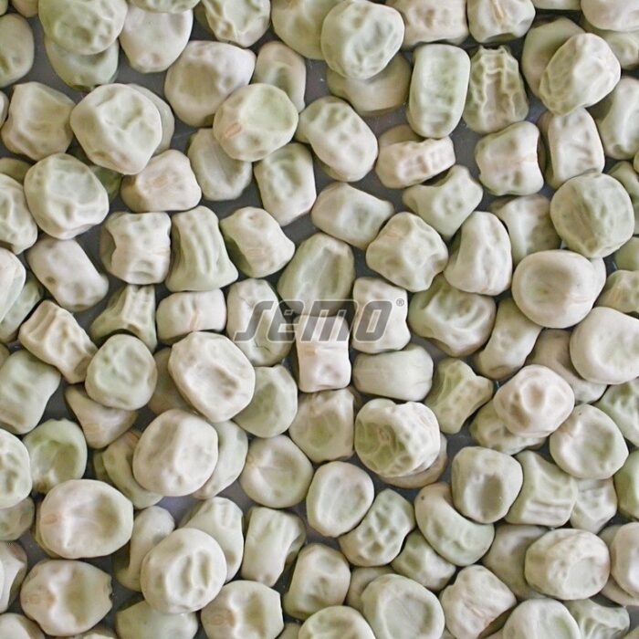 ZIRŅI - AMYLAN - 25 kg - Image 2