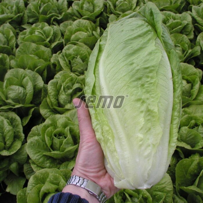 38915000.jpg