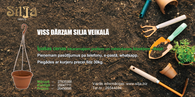 Silja serviss kondic WEB 6 05